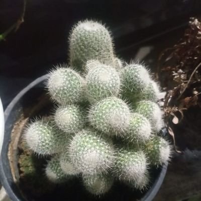 08_tcam's profile picture. 