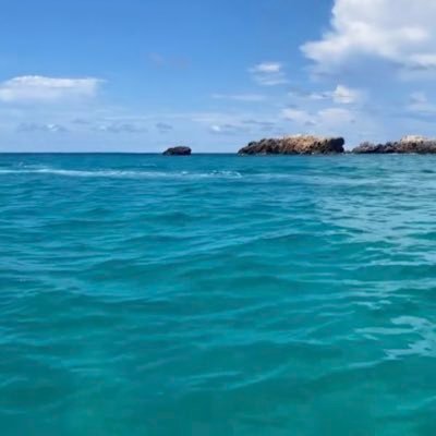 sofiandreag_'s profile picture. 