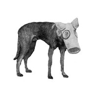 superpoehl (@superpoehl) 's Twitter Profile Photo