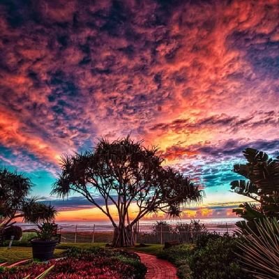 ReedDrew2's profile picture. Saved By The Lamb
 --He Is Coming Back Soon--