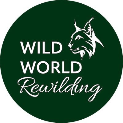 Rewilding for a Wild World. From rewilding children to adults, animals to ecosystems. It's time to go wild. Part of @wildworldorg