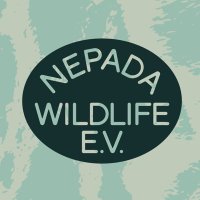 Nepada Wildlife (@nepada_wild) 's Twitter Profile
