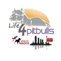 Life4pitbullsMADRID (@life4pitbullsm) 's Twitter Profile