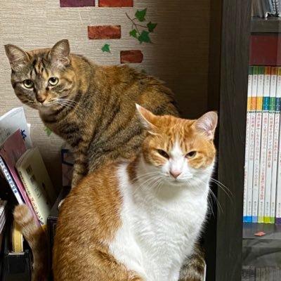 7cSGQ5XG3Q60mnf's profile picture. 