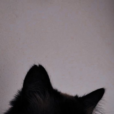 suuhfll's profile picture. Its not over