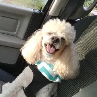 Beachguy904 (@beachguy904) 's Twitter Profile Photo Beachguy904 (@beachguy904) 's Twitter Profile Photo
