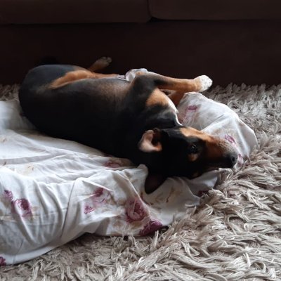 Alex23156208's profile picture. 