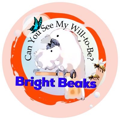 Bird chapter of Bright Eyes Sanctuary, Inc., a multi-species animal sanctuary and rescue. A registered 501c3 animal welfare charity.