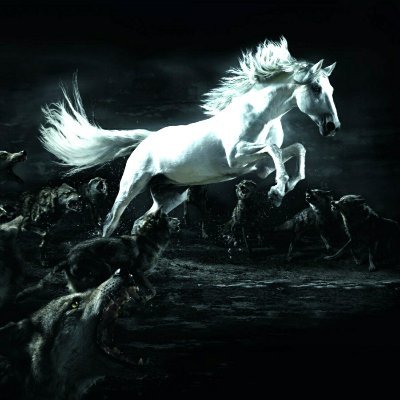 KotlaIlyas's profile picture. Embedded Software Devoloper