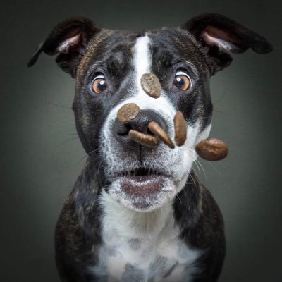 TimT86111's profile picture. 