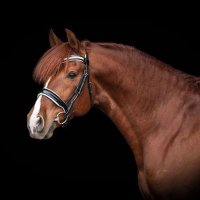 Eclipse CES (@eclipseces) 's Twitter Profile