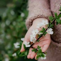 أم فجر التويجري (@67hwozdknkgxv50) Twitter profile photo