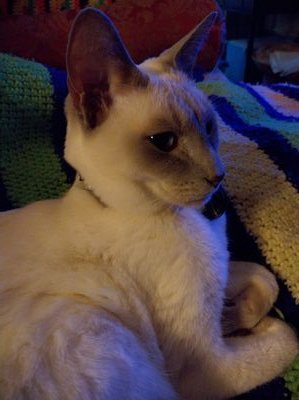 LRamell's profile picture. Pro Brexit; No longer a Conservative voter; Volunteer Treasurer for a non-profit; Family Genealogist; Love animals, cooking/entertaining. No DMs, please.