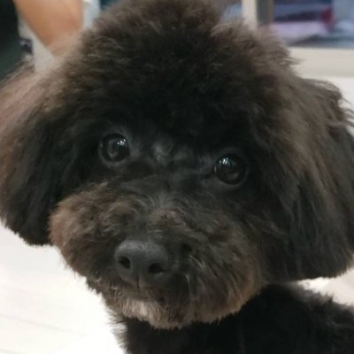 raoh727's profile picture. 低浮上気味になります💦
無言フォローすみません🙏