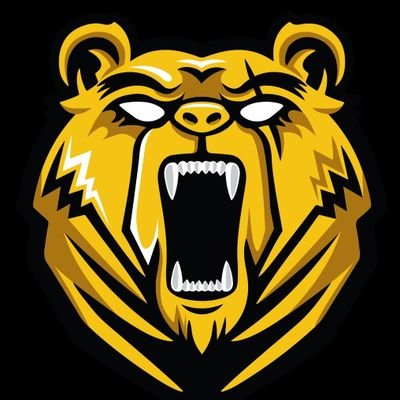 GoBears_Oficial Profile Picture