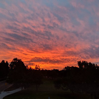 fractiadeo's profile picture. 