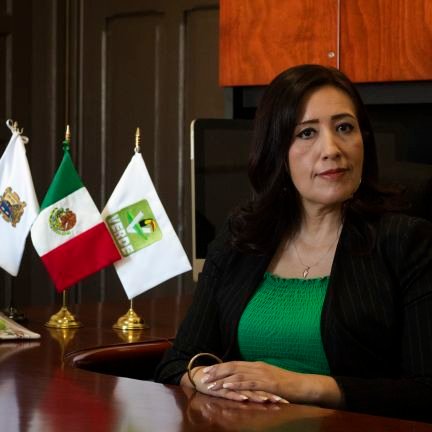 Secretaria General del Comité Ejecutivo Estatal del Partido Verde Ecologista de México en San Luis Potosí.