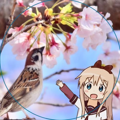 ないとーさんのプロフィール画像