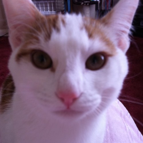 kelberry18's profile picture. 