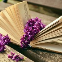Buona_lettura (@buona_lettura_) 's Twitter Profile Photo Buona_lettura (@buona_lettura_) 's Twitter Profile Photo