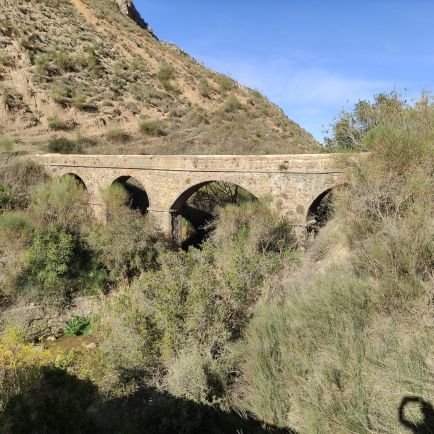 IAnayadelaC's profile picture. 