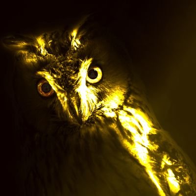 abl7692's profile picture. Soy Ricardo Enciso, solo un ser humano que está harto de los progres.