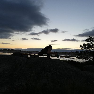 DeveterChain's profile picture. #Engineer Blockchain and Cryptos. Nothing else. My tweets are not financial advise