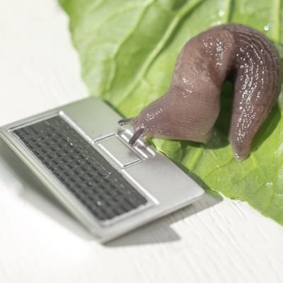 RealGiantSlug's profile picture. 