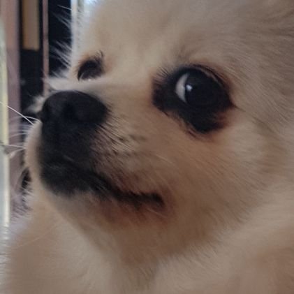 coco_pp00's profile picture. 트위터 접어요. 블스 : https://t.co/bRlMyIjw7d 블로그 : https://t.co/93qgVKzL15