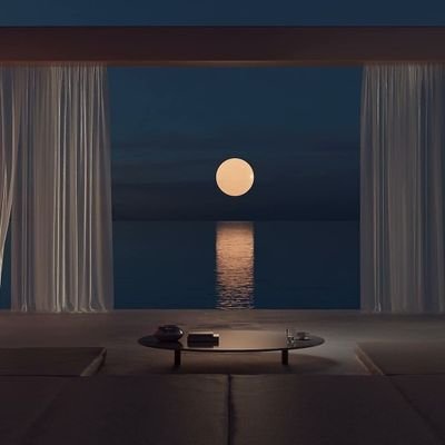 unattendedbish's profile picture. 💭