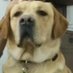 PEDRO (@pedro34357893) Twitter profile photo PEDRO (@pedro34357893) Twitter profile photo