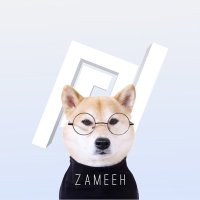 Zameeh (@zameeeh) 's Twitter Profile Photo Zameeh (@zameeeh) 's Twitter Profile Photo