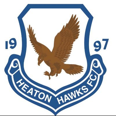 HawksSeniors's profile picture. Home ground The manor 
North east combination league Premier division