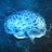 MINDScholars's profile image