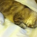 Jarred Scott Brown - @Jarred_Scott_13 - Twitter