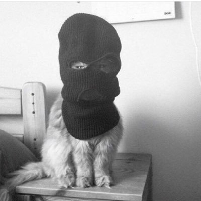 onemoretrydear's profile picture. иф ит мейкс ю хэппи - ит кэнт би дат бэд⚜️♠️