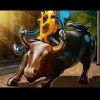 EJCC (@criptoneg) 's Twitter Profile