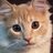 MUTigerFan02's profile image