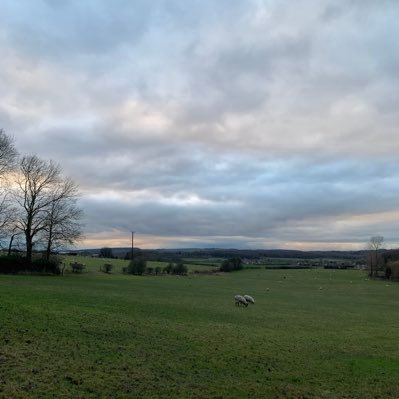 jesuiskje's profile picture. Venus as a boy