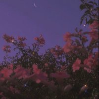 Manar (@mnar_f04) 's Twitter Profile