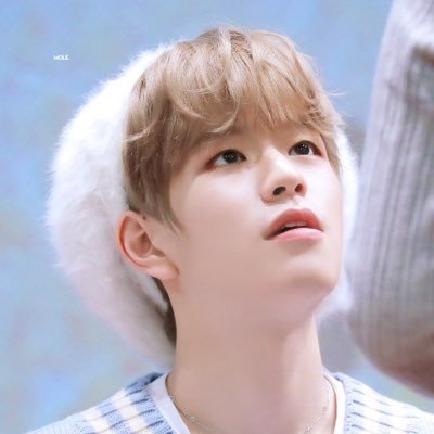 AROHA • ARMY • EXO-L • CARAT • ALICE • STAY • TO MOON • IGOT7 • MONBEBE • MYDAY • THEB • MOA • ONEIT • ATINY • NCTZEN • WAYZENNI || Fan Account