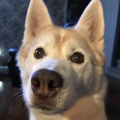 Tooser71's profile picture. Mom, Married, BH since 1988, followed by @TheAmyCarlson 25/10/14,@ChicagoMacky 09/11/2014,@donniewahlberg & @jennymccarthy 16/12/14, @leahremini 14/04/15