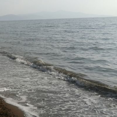 NBASANK73's profile picture. 