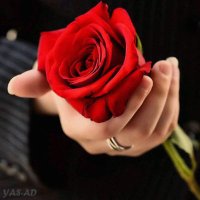 M p (@mohamed71997884) 's Twitter Profile