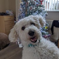 Jane B (@jboardman2014) 's Twitter Profile