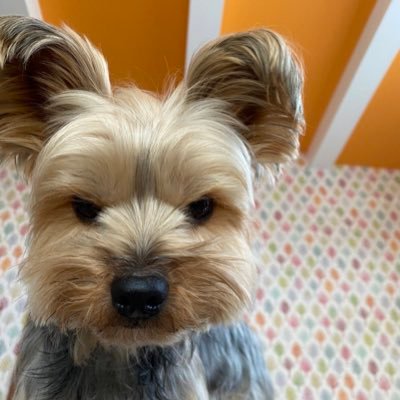 ken1981dayo's profile picture. 