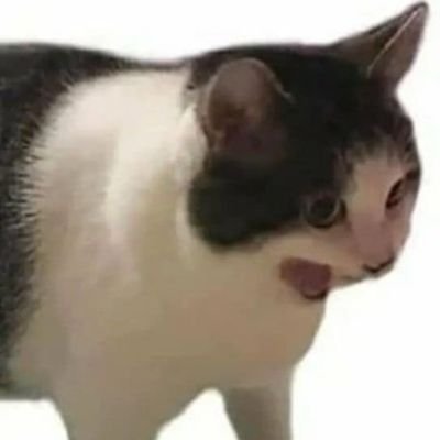 Hyko__'s profile picture. 