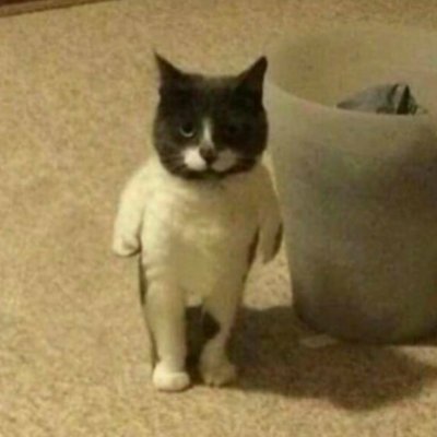 Sebach921's profile picture. 🤙