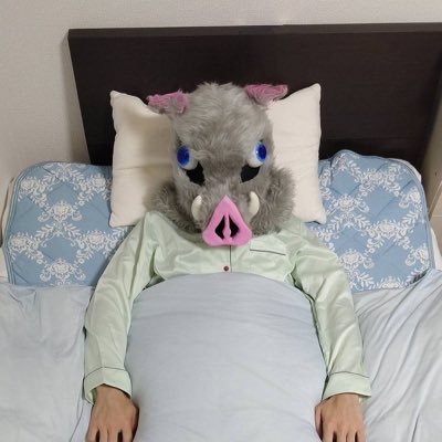 より🐱さんのプロフィール画像