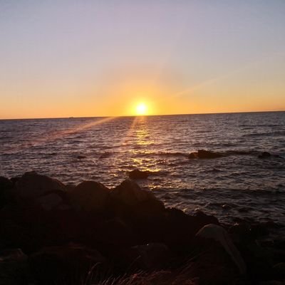 JohnThePacker's profile picture. Somebody's someone